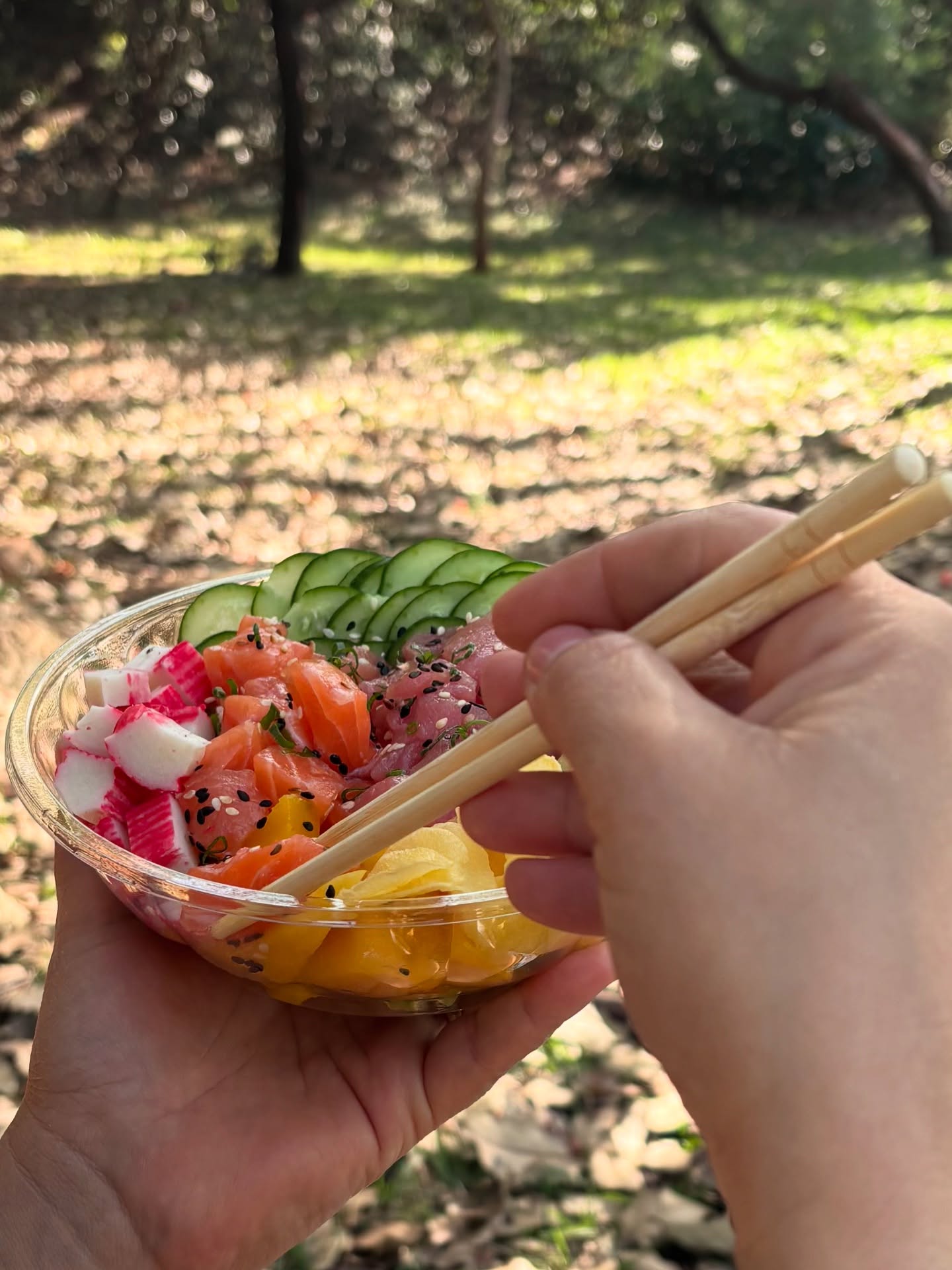 532233510_18064530020221836_2499567084964311851_n.